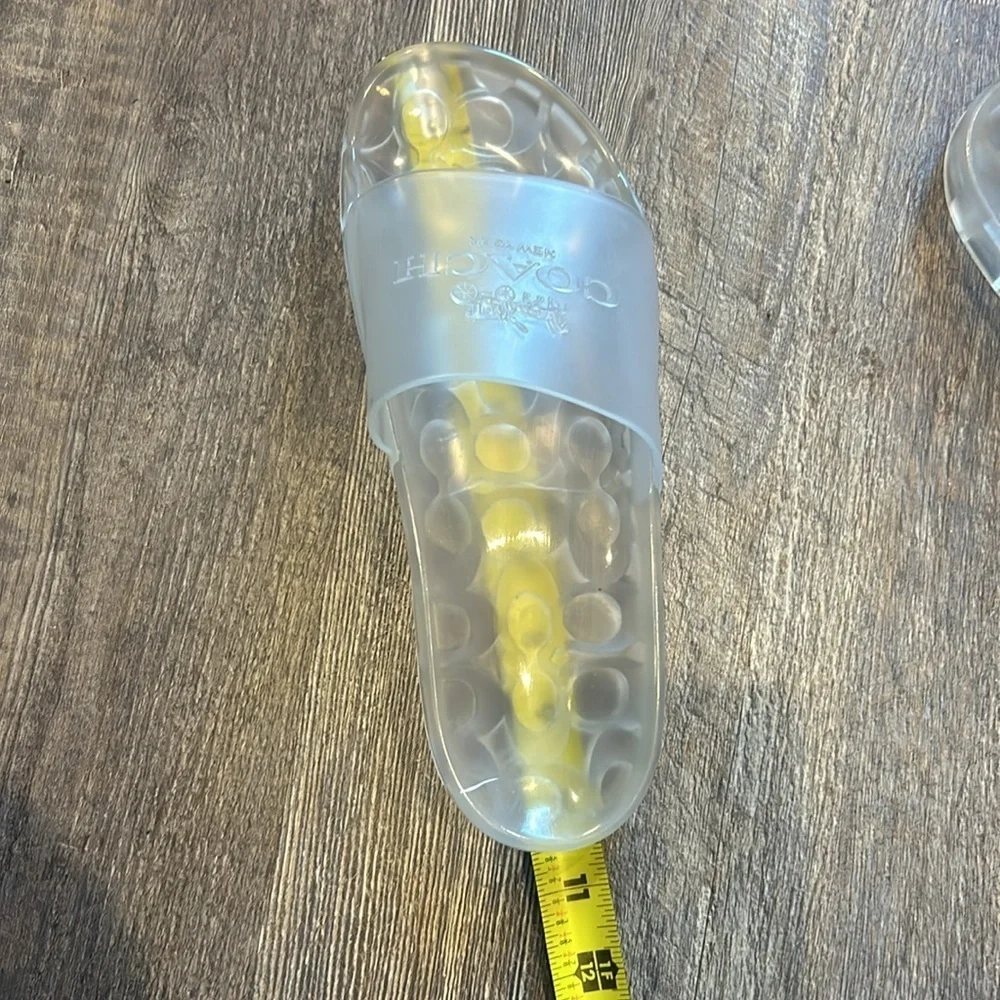 Coach size clear slides